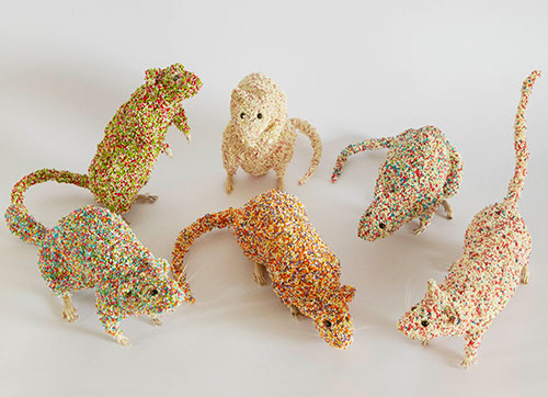 Noortje Zijlstra - Sugar takes over the world!, 2012, Rats with sprinkels